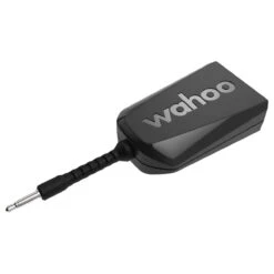 Wahoo Fitness Kickr Direct Connect/Dircon -Topeak Winkel 345KwtOiUt0plBXt