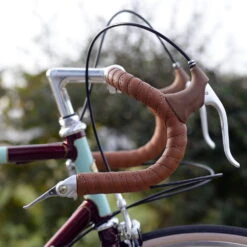 Dia-Compe Bar-end Shifter -Topeak Winkel GLDCBES0 fitted 7